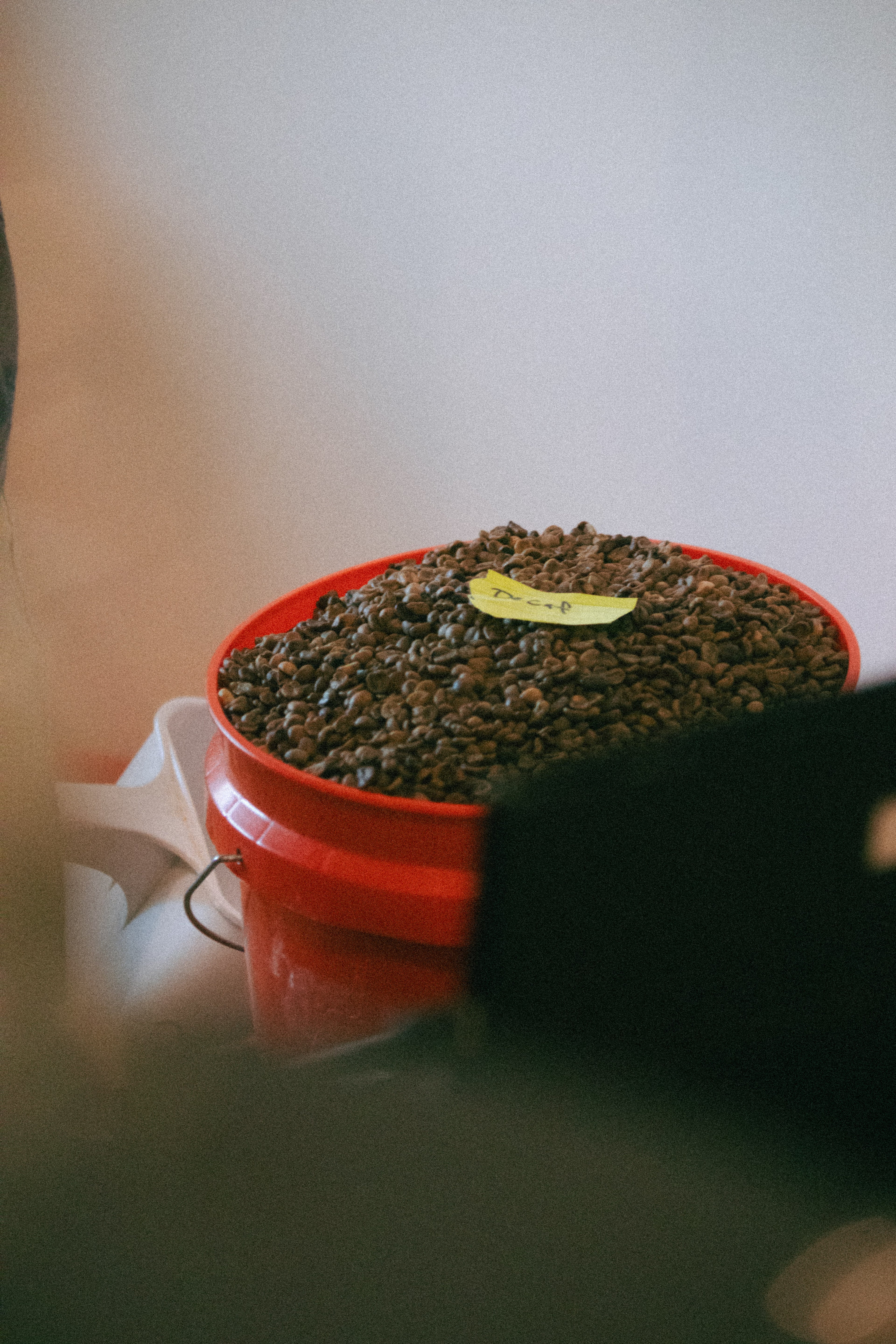 The Coffee Club Gift Card